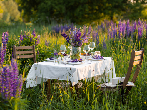 dinner-in-purple-flowers Summer sunset, romantic date outdoors in meadow, marriage proposal. Romantic sunset dinner in the field. Table honeymoon set for two with luxurious food, glasses of champagne drinks in a restaurant.